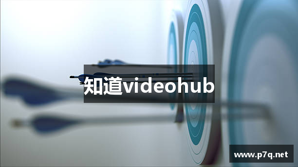 知道videohub